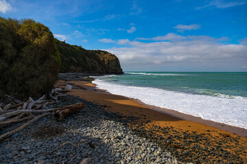 view from the cliff on orange sand beach coastal vegetation with marine wildlife sightings, located...