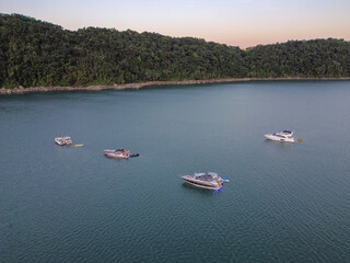 Aerial view of several motorboats and yachts anchored on calm blue sea waters near a lush green forest coastline during a peaceful afternoon © Lucas Monteiro