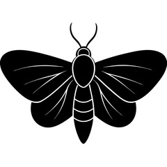 butterfly vector illustration