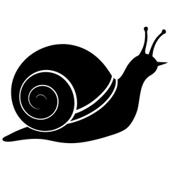 snail on white background