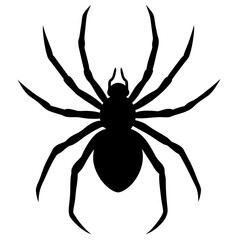 Obraz premium spider on a white background