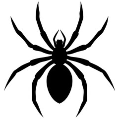 Obraz premium spider on a white background