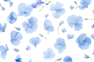 A close-up shot of delicate flax blue flowers scattered across a crisp white background, showcasing their intricate petals and fine details.