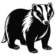 Adobe Illustrator AVector illustration of zorilla isolated on white background. For kids coloring book.rtwork