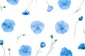 An overhead view of flax blue flowers artfully arranged on a plain white background, capturing the natural symmetry and texture of the petals and stems