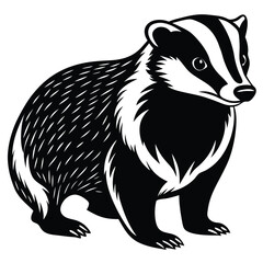 Adobe Illustrator AVector illustration of zorilla isolated on white background. For kids coloring book.rtwork