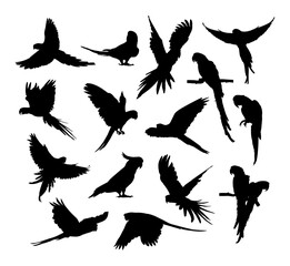 vector black silhouette of a parrot bird