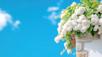 White flowers cascading over a stone wall against a vivid blue sky