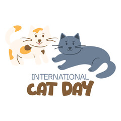 World cat day, international cat day