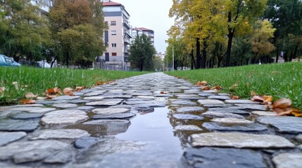 Cobblestone Path Autumn Leaves Natural Style High-resolution Ground-level View Wet Stones Reflective Puddles City Park Cool Gray Tones Ideal for travel blogs