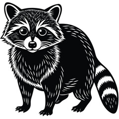 Adobe IllRaccoon Vector Silhouette, Raccoon Illustration, Raccoon Art Hand Drawn Line Art.ustrator Artwork