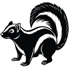 Adobe IllustratSkunk Vector Silhouette, Skunk Illustration, Skunk Art Hand Drawn Line Artor Artwork