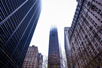 Photographing the Skyline of New York City. 