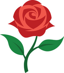 Vector illustration of red rose 