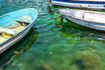 Two weathered boats float on the calm, greenish waters of Kotor's marina in Montenegro. Small fish...