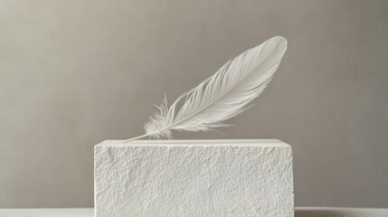 White feather on textured podium, minimalist still life