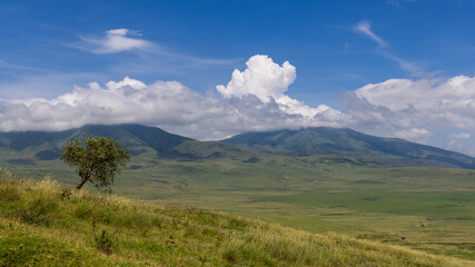 Panoramic landscape of Ngorongor conservation area in Tanzania.