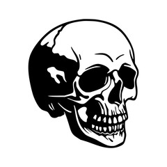 Obraz premium Vintage Skull Illustration - Black & White