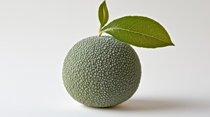Textured Green Orb with Leaf Still Life Composition