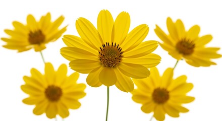 Naklejka premium Golden Bloom: A Burst of Sunshine AI Generated