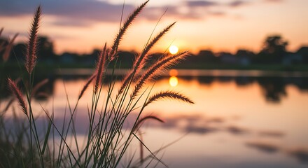 Sunset Serenade: Golden Hour Grasses AI Generated