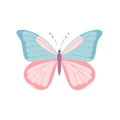 Pastel colored blue pink butterfly