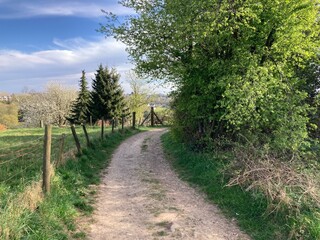 Fototapeta premium Idyllische Landschaft in der Natur mit Feldweg vor Biegung mit und Bäumen mit Weidezaun