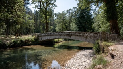 A weathered stone bridge spans a calm stream, nestled in a vibrant green forest where sunlight filters through the trees, creating a serene atmosphere