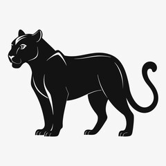 Obraz premium Black panther silhouette 