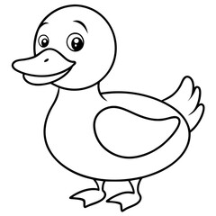 duck bird
