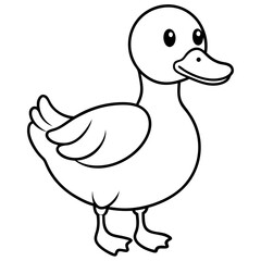 duck isolated on white