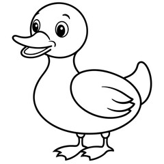 duck bird