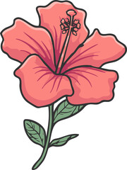 vector illustration of a hibiscus flower