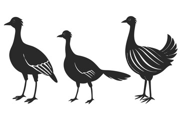 set of Eudocimus Bird silhouette vector illustration