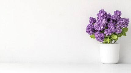 Fototapeta premium Elegant lilac bouquet in white pot
