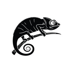 Chameleon Vector silhouette  isolated on white background