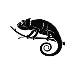Chameleon Vector silhouette  isolated on white background
