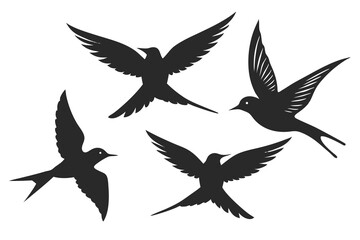set of Sabrewing bird silhouette vector illustration