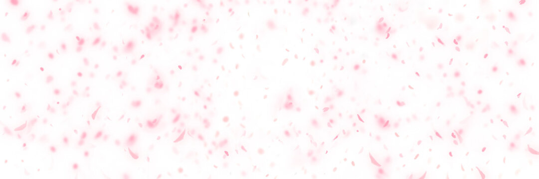 春爛漫、桜満開桜吹雪が舞うシンプルな背景イラストと透過背景