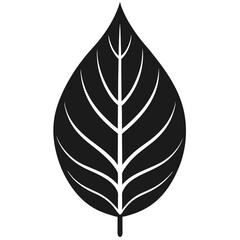 Leaf icon silhouette vector illustration