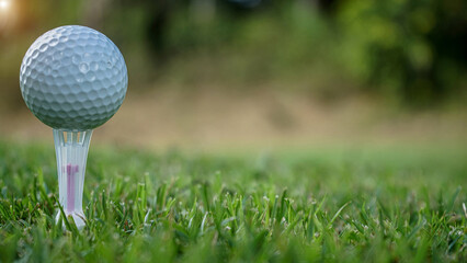 Golf ball on green grass in the evening golf course with sunshine background.