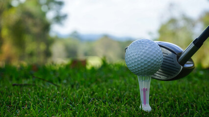 Golf clubs and golf balls on a green lawn in a beautiful golf course with morning sunshine.