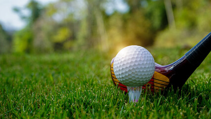 Golf clubs and golf balls on a green lawn in a beautiful golf course with morning sunshine.