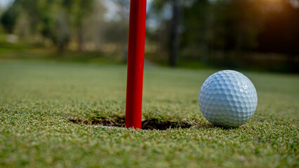 Golf ball on green grass in the evening golf course with sunshine background.