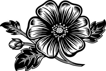 black and white flowers