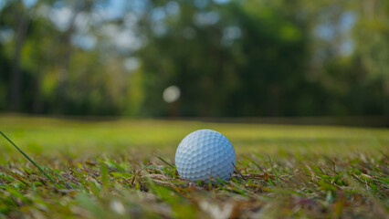 Golf ball on green grass in the evening golf course with sunshine background.