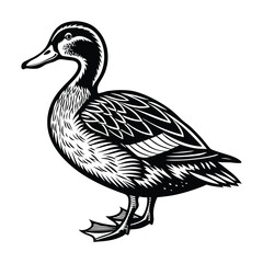 Duck vector isolated on a white background