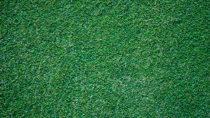 Fototapeta premium Green grass background, top view background of garden bright grass concept used for making green backdrop, lawn for sports field.
