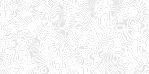White topography topology vector white background fresh contour map texture. white seamless pattern Abstract background with a wave Topography and geography map grid abstract backdrop.