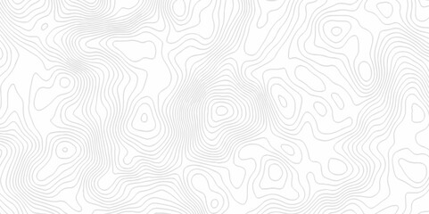 White topography topology vector white background fresh contour map texture. white seamless pattern Abstract background with a wave Topography and geography map grid abstract backdrop.